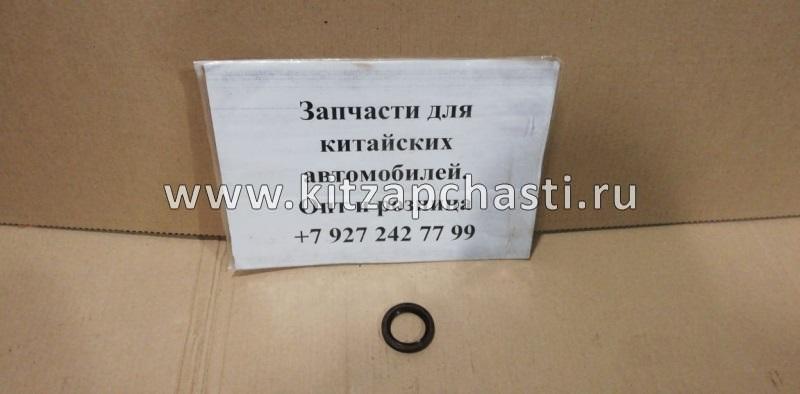 Сальник распредвала Geely MK,MK CROSS E010130010